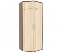 шкаф в прихожую