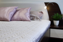 Светильник прикроватный Венеция