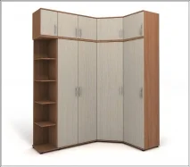 шкаф в прихожую